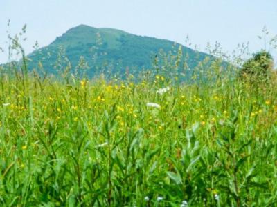 Caloroczne Domki Zacisze Hnatowego Berda W Wetlinie 韦特利纳 外观 照片