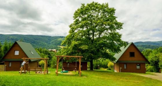 Caloroczne Domki Zacisze Hnatowego Berda W Wetlinie 韦特利纳 外观 照片